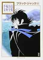 ブラック・ジャック 漫画文庫　全12巻　完結セット　手塚治虫文庫　全集　 ＢＴ ブラック・ジャック 漫画文庫 全12巻 完結セット (手塚治虫文庫